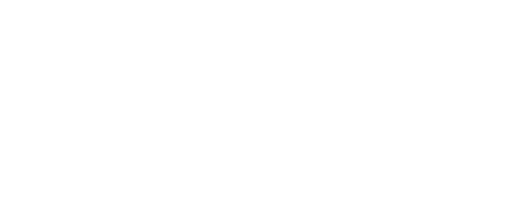 Plato Denetim